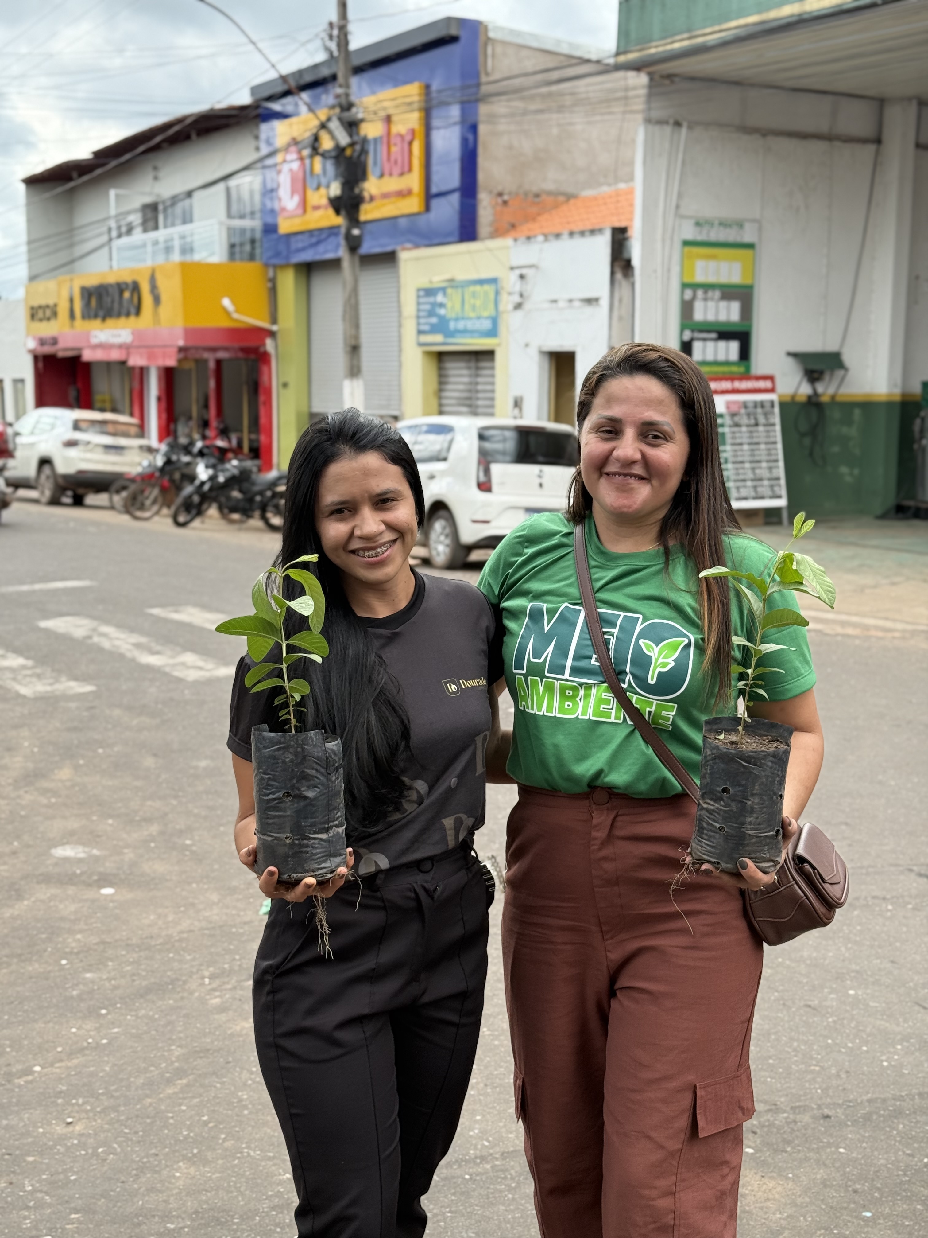 DISTRIBUIÇÃO DE MUDAS