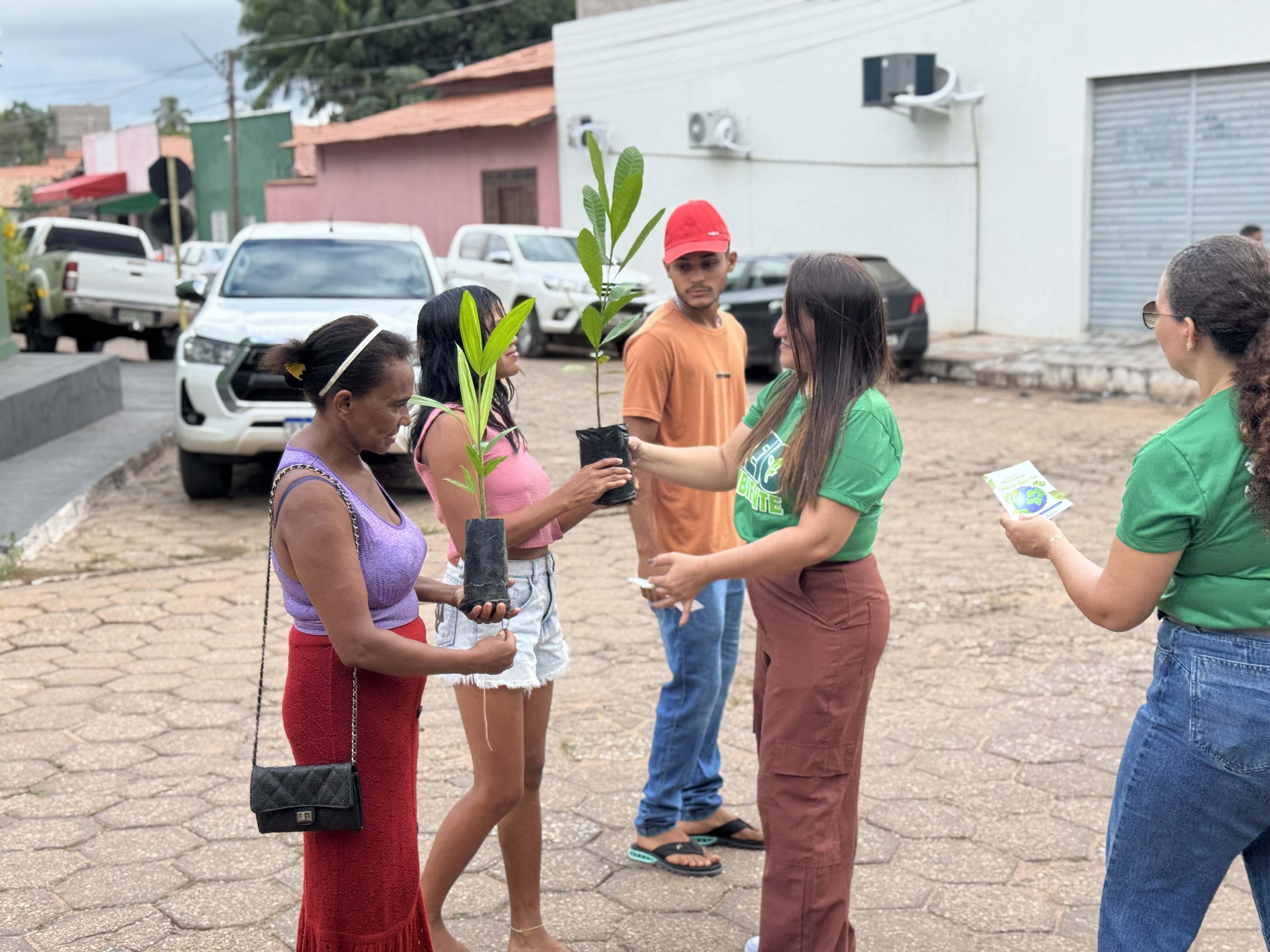 DISTRIBUIÇÃO DE MUDAS